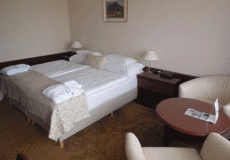 Comfort Room in Esplanade Ensana Health Spa Hotel Piestany