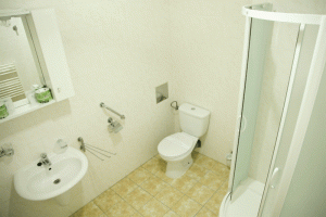 Ванная комната в номере Стандарт, Отель Палас, Курорт Слиач