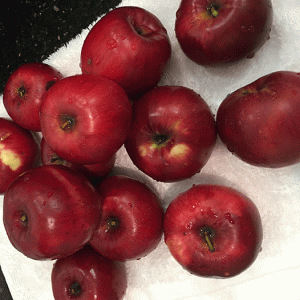 Самые вкусные местные яблоки на курорте Турчианске Теплице