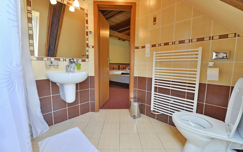 Ванная комната номера Стандарт отеля Гёте, Склене Теплице
