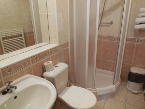 Ванная комната в номере Комфорт в Вилле Траян**