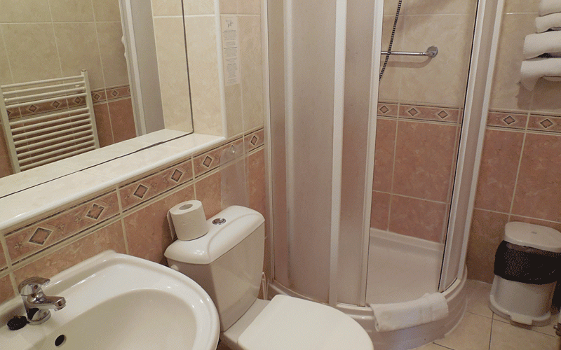 Ванная комната в номере Комфорт в Вилле Траян**