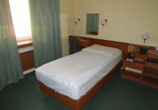 Standard Room in Vila Trajan Ensna of Health Spa Hotel Piestany